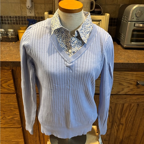 🍄IZOD Light Blue V-Neck Sweater - Picture 1 of 4